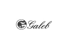 Galeb
