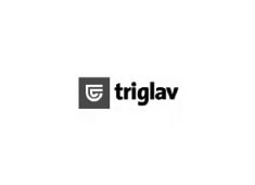 Triglav Osiguranje